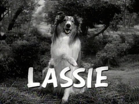 The Lassie Problem: Where are the DVD's? – One Man and His Banjo